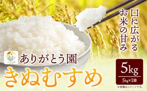  令和6年産 米 岡山県産 きぬむすめ 白米 5kg ありがとう園《30日以内に出荷予定(土日祝除く)》岡山県 矢掛町 米 コメ 一等米---osy_agekmh_30d_23_11500_5kg---