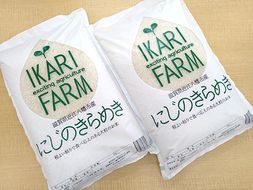 【6年産】にじのきらめき白米10kg（5kg×2袋）「大粒で食べ応えあり」【C060U】