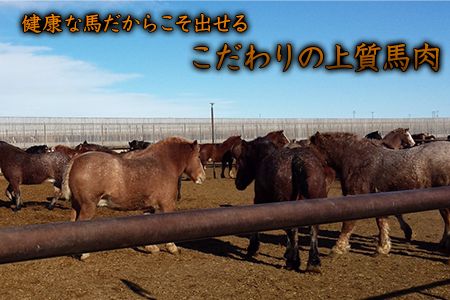 霜降り馬刺し200g(50g×4ブロック)【純国産熊本肥育】《30日以内に出荷予定(土日祝除く)》---ng_fjs10_30d_r8_12500_200g---