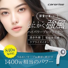 ドライヤー ケアライズ イオン プロドライヤー 強風 タイプ TF-2408 ダメージ 軽減 温風 冷風 