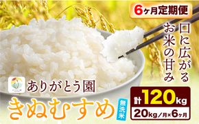 【6ヶ月定期便】 令和6年産 米 岡山県産 きぬむすめ 無洗米 20kg ありがとう園《お申込み月の翌月から出荷開始》岡山県 矢掛町 無洗米 米 コメ 一等米 定期便 定期---osy_aekmtei_23_205500_mo6num_20---