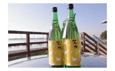 DA-3 ☆行方市内限定☆【ヤクルト配達見守り訪問】ヤクルト1000（7本×4