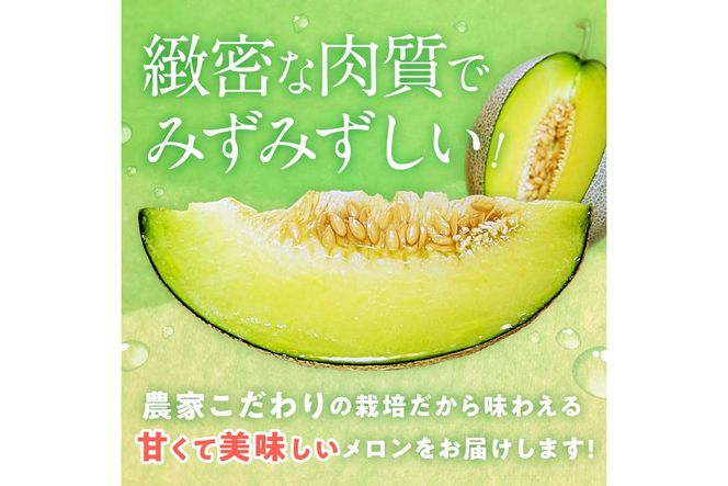 【先行予約／数量限定100】ゆめろんファームの青肉メロン（2026年6月上旬～発送）　DE00153