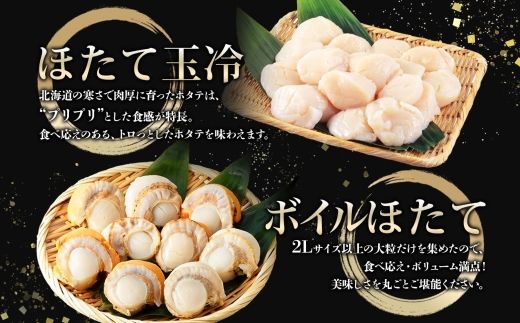 2943.ほたて 玉冷 500g ボイルほたて 500g 食べ比べ 計1kg セット 帆立 ホタテ貝柱 生ほたて ホタテ 貝 貝柱 魚介 海鮮 お取り寄せ グルメ 贈り物 冷凍 送料無料 北海道 弟子屈町