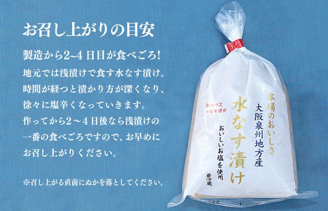 010B1097 【先行予約】 大人気 泉州水なす漬け 6個 夏旬の水なすを冬にどうぞ！