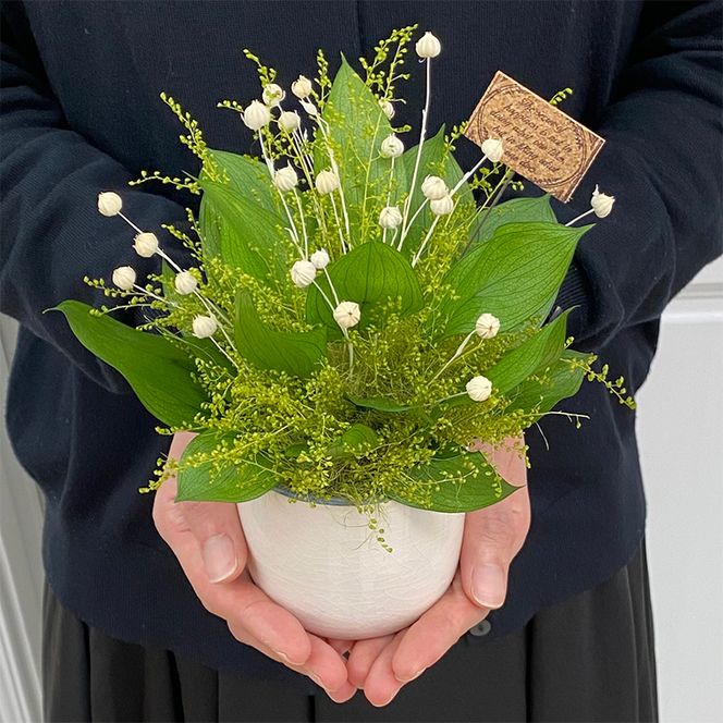 AJ160-1 プリザーブドフラワー【フイユ/ヴェール】春日部市 シュガーパイン