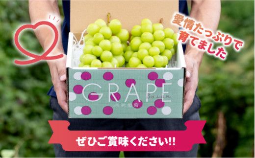 ＜2024年先行予約＞産地厳選シャインマスカット1.2kg～1.3kg（2房～3房）※沖縄・離島配送不可※ 106-003