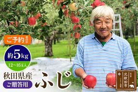 ＜先行予約＞りんご ふじ（ご贈答用）約5kg (12〜16玉入) 伊東さんの「伏影りんご」 令和6年産 秋田県産 個数限定 リンゴ マタギのりんご|itff-00002