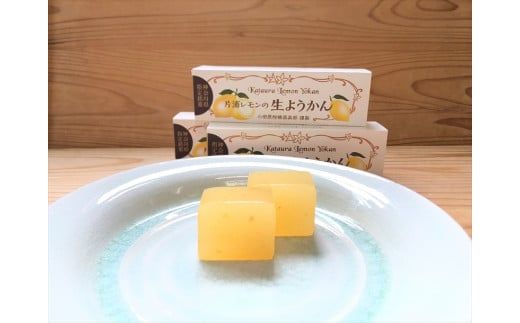 144-1764　小田原老舗和菓子店の手づくり片浦レモンの生ようかん【 お菓子 スイーツ 神奈川県 小田原市 】