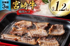牛肉 定期便 宮崎牛焼肉セット 3ヶ月定期便 [ミヤチク 宮崎県 美郷町 31au0087] 焼肉 冷凍 小分け 個包装 宮崎牛 牛 牛肩ロース 牛ウデ 牛モモ