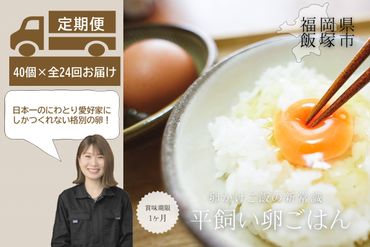 【L84-001】〈平飼い卵〉あかねの虜（40個）【全24回お届け】