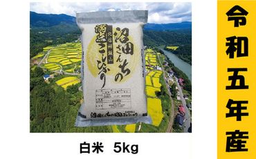 【９月から寄附額・容量変更無】【令和5年産 】沼田さんちの満点こしひかり 5kg(5-41A)