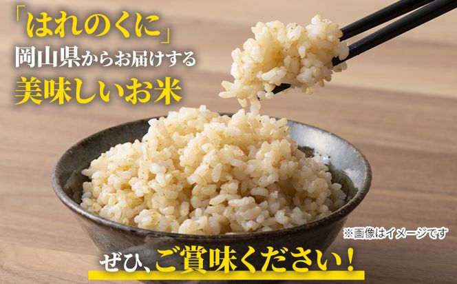 【令和5年産】玄米 岡山県産 ひのひかり 笠岡産 60kg(10kg×6回)《30日以内に出荷予定(土日祝除く)》農事組合法人奥山営農組合 農事組合法人奥山営農組合 太陽の恵み O-2_10k---O-02_60k_g---