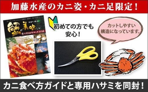 2462. 紅ズワイ 蟹しゃぶ ビードロ 1kg 毛蟹 2尾 計700g前後 専用ハサミ・ガイド付き 紅ずわい 毛ガニ 蟹 カニ しゃぶしゃぶ 鍋 海鮮 送料無料 北海道 弟子屈町