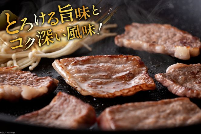 牛肉 定期便 宮崎牛焼肉セット 3ヶ月定期便 [ミヤチク 宮崎県 美郷町 31au0057] 焼肉 冷凍 小分け 個包装 宮崎牛 牛 牛肩ロース 牛ウデ 牛モモ