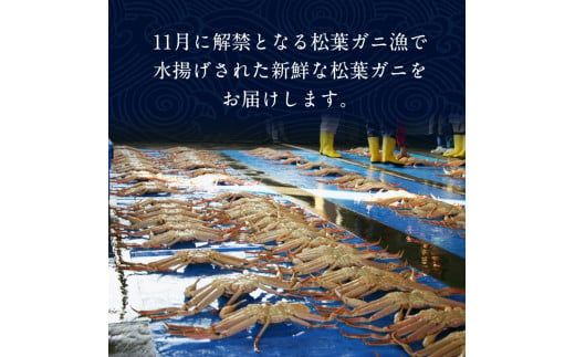 ご自宅用お任せボイル松葉ガニ　大満足の5kgセット【着日指定不可】 ※2024年11月上旬～2025年3月下旬頃に順次発送予定