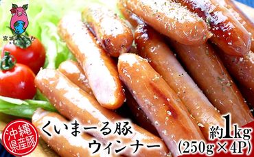 沖縄県産豚肉　ウィンナー　約1kg（250g×4P）