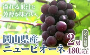 【先行予約】 岡山県産 ニューピオーネ 2房 480g以上 ハウス栽培 葡萄 果物 厳選出荷 スイーツ フルーツ デザート 岡山県矢掛町《7月上旬-8月下旬出荷》 種なしぶどう 【配送不可地域あり】---osy_chbf20_ak7_26_18000_2---