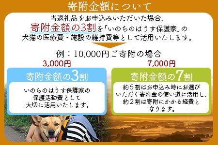 保健所犬猫レスキュー【返礼品なしのご寄附】＞寄付金額5,000円