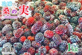 ＜桑の実（冷凍） 1kg＞翌月末迄に順次出荷【c808_mz_x4】