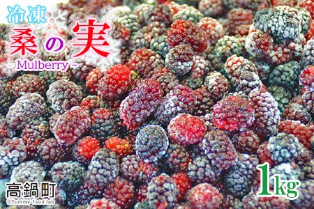 ＜桑の実（冷凍） 1kg＞翌月末迄に順次出荷【c808_mz_x4】