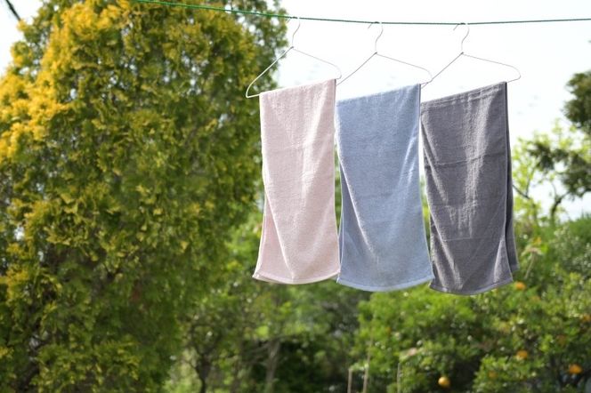 015B355 スリムバスタオル 6枚（ピンクグレー）泉州タオル フェイスタオル 以上 バスタオル 未満【泉州タオル 国産 吸水 普段使い シンプル 日用品】