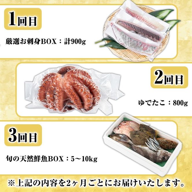 ＜定期便・全3回＞海の幸満喫定期便 魚貝 魚介 海産物 旬 お魚 冷蔵 刺身 真鯛 タイ カンパチ ブリ 鰤 鮮魚 焼き魚 たこ ゆでだこ タコ 蛸 煮つけ 定期便 詰め合わせ セット お楽しみ 海の幸【さるがく水産】akn028-32