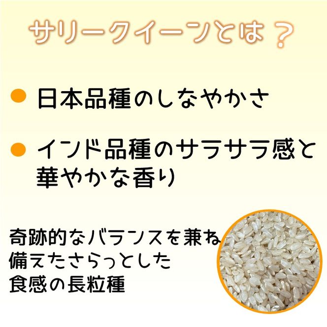 お米 サリークイーン 玄米《 お米 玄米 5キロ 安心 安全 バスマティ 日本晴 米 おこめ 国産 送料無料 ピラフ パエリア》【2401B08405】