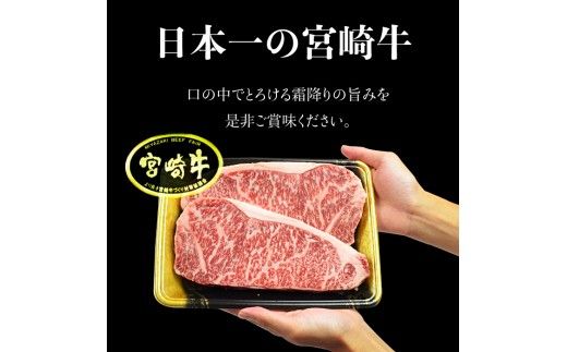 ＜宮崎牛 サーロインステーキ用460gとリブロースすき焼きしゃぶしゃぶ用300g＞翌月末迄に順次出荷【c236_sy_x1】