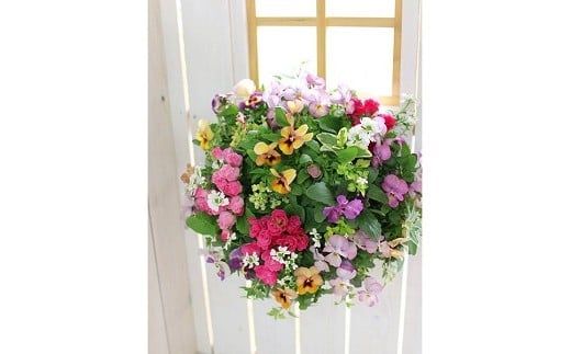 C053 花うるる特製アレンジ・おまかせハンギングバスケット～Mサイズ