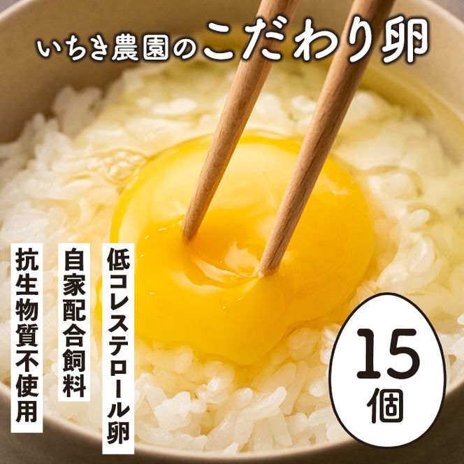 yɍszZ5-01 _̂藑(v15E10+5) RLȈɍňĂ{̒RXe[IRsgpIy_z