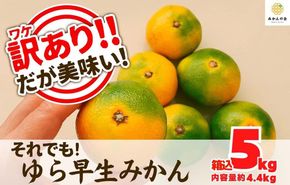 訳あり ゆら早生 みかん 箱込5kg(内容量 4.4kg)サイズミックス  有田みかん 和歌山県産 【みかんの会】［2026年10月下旬頃より順次発送予定］ AX316