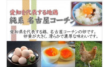 日本三大地鶏!! 「純系 名古屋コーチンの卵」(30個) 本当に美味しい食べ物は調味料の味に負けません!air
