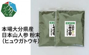 【F09002】日本山人参（ヒュウガトウキ）粉末　本場大分県産