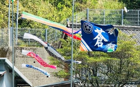 R5-027．鮮やかな高知の伝統工芸　鯉と金太郎フラフ（祝い旗）
