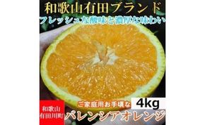 【有田川町】バレンシアオレンジ 4kg バレンシア バレンシャ 和歌山 ブランド 有田みかん ご家庭用  CE026