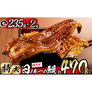 日ノ本一の鰻の蒲焼き＜特大＞2尾セット(計470g以上) b3-010