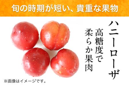 ハニーローザアイスクリーム 120ml×8個《30日以内に出荷予定（土日祝除く）》熊本県 玉東町 ぷらっとぎょくとう ハニーローザ アイスクリーム すもも スイーツ お菓子---sg_fhoneyrosa_30d_24_14000_960ml---