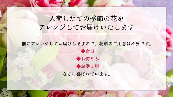 季節のお花の仏花アレンジメントL＊定期便6回 [CT030ci]