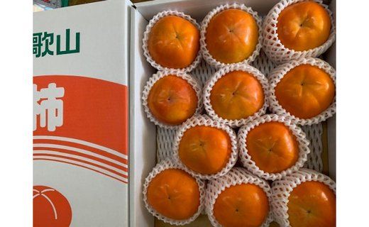 たねなし柿 赤秀品 2Lサイズ 化粧箱（11～12個入） CC37