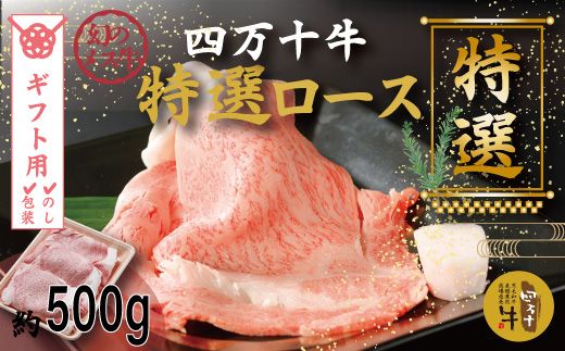 yml\szyMtgpiÊΉjzR5-974GD̃X l\I[XXCXiĂEԂԗpj500