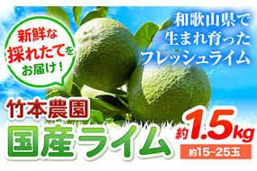 ライム 国産 ライム 約1.5kg ( 15～25玉 )《9月下旬-12月中旬頃出荷》竹本農園 和歌山県 日高川町 産地直送 旬 新鮮 果物 柑橘 らいむ フルーツ 国産 送料無料---wshg_tn1_h912_23_6000_1500g---