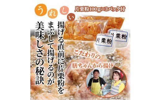 膳ちゃん唐揚げ1.65kg+鶏皮揚げ0.2kg_1100R