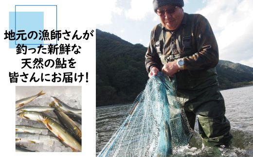 R5-838．炭火でじっくり焼いた四万十川天然鮎の塩焼き(3～4匹)