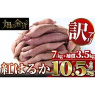 a674 《訳あり》畑の金貨・訳あり紅はるか7kgと補償3.5kg 合計10.5kg(生芋)【甘いも販売所】国産 姶良市 さつまいも さつま芋 サツマイモ 紅はるか べにはるか 貯蔵 熟成 蜜芋 蜜いも