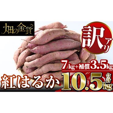 a674 《訳あり》畑の金貨・訳あり紅はるか7kgと補償3.5kg 合計10.5kg(生芋)【甘いも販売所】国産 姶良市 さつまいも さつま芋 サツマイモ 紅はるか べにはるか 貯蔵 熟成 蜜芋 蜜いも