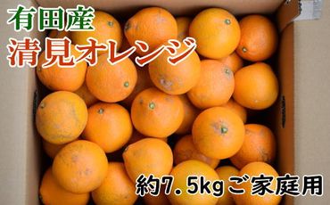 有田産清見オレンジ7.5kg(サイズおまかせまたは混合)ご家庭用※2024年2月上旬～3月下旬頃に順次発送予定