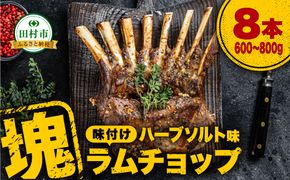 【ラムチョップ 8本 （ ハーブソルト味 600g ～ 800g ） 塊肉でお届け！】 肉 羊肉 羊 ラム ラム肉 焼肉 BBQ 塊 人気 ランキング ギフト 贈答 プレゼント 熨斗 のし 福島県 田村市 川合精肉店 N09-M21-01