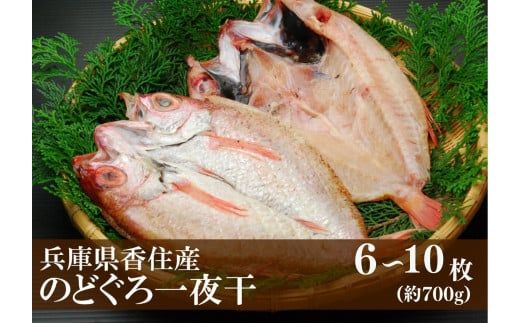 [兵庫県香住産 のどぐろ一夜干 約700g(6~10枚)]香住で水揚げ 鮮度抜群 白身魚の王様 高級魚 一夜干し 濃厚な脂 身は柔らかく 旨味が詰まった逸品 兵庫県 香美町 宿院商店 33-15