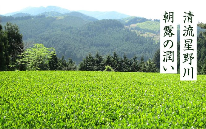 【全3回定期便】奥八女星野村 八女茶 伝統本玉露[50g]×2袋《築上町》【株式会社ベネフィス】[ABDF109]